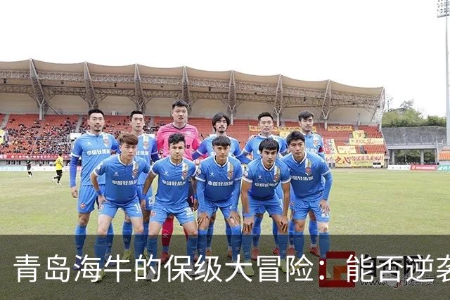 青岛海牛的保级大冒险：能否逆袭成球场英雄？